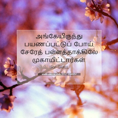 Picture 07 - எண்ணாகமம் 21:12 TAMIRV - அங்கேயிருந்து - Bible Verse Picture
