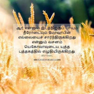 Picture 07 - எண்ணாகமம் 21:15 TAMIRV - ஆர் என்னும் - Bible Verse Picture