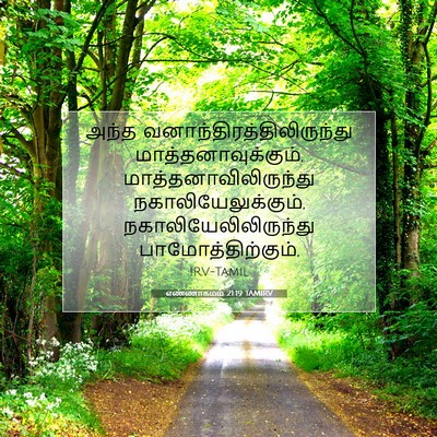 Picture 07 - எண்ணாகமம் 21:19 TAMIRV - அந்த - Bible Verse Picture