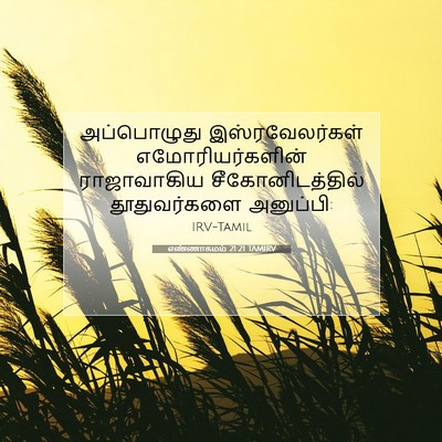 Picture 07 - எண்ணாகமம் 21:21 TAMIRV - அப்பொழுது - Bible Verse Picture