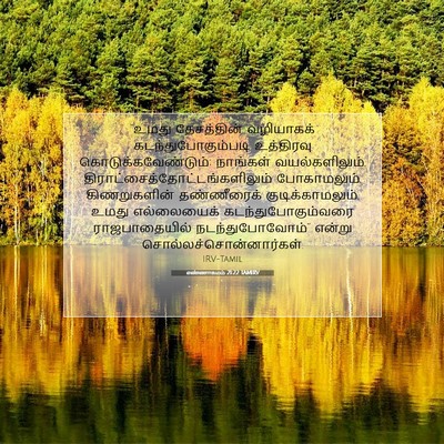 Picture 07 - எண்ணாகமம் 21:22 TAMIRV - “உமது தேசத்தின் - Bible Verse Picture