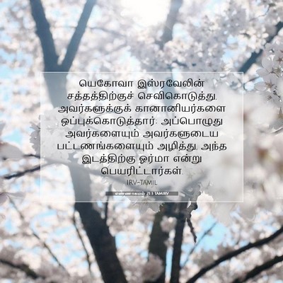 Picture 07 - எண்ணாகமம் 21:3 TAMIRV - யெகோவா இஸ்ரவேலின் - Bible Verse Picture