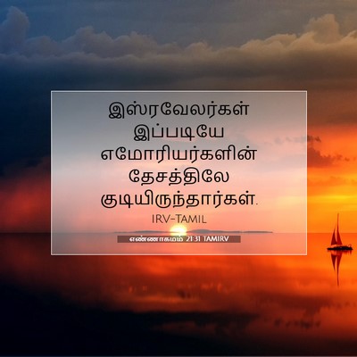 Picture 07 - எண்ணாகமம் 21:31 TAMIRV - இஸ்ரவேலர்கள் - Bible Verse Picture