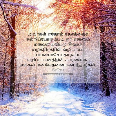 Picture 07 - எண்ணாகமம் 21:4 TAMIRV - அவர்கள் ஏதோம் - Bible Verse Picture