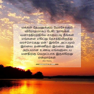 Picture 07 - எண்ணாகமம் 21:5 TAMIRV - மக்கள் - Bible Verse Picture