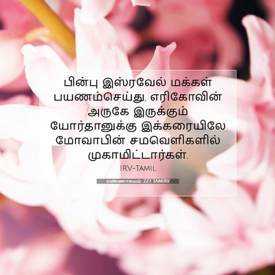 Picture 07 - எண்ணாகமம் 22:1 TAMIRV - பின்பு இஸ்ரவேல் - Bible Verse Picture