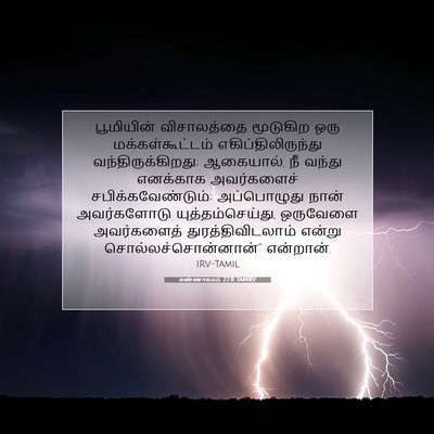 Picture 07 - எண்ணாகமம் 22:11 TAMIRV - பூமியின் - Bible Verse Picture