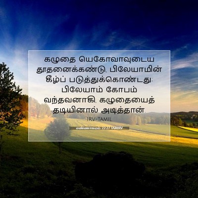 Picture 07 - எண்ணாகமம் 22:27 TAMIRV - கழுதை யெகோவாவுடைய - Bible Verse Picture