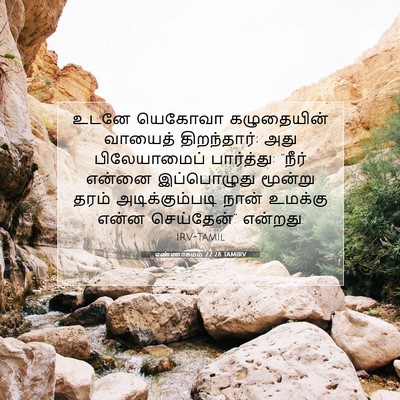 Picture 07 - எண்ணாகமம் 22:28 TAMIRV - உடனே யெகோவா - Bible Verse Picture