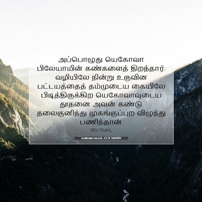 Picture 07 - எண்ணாகமம் 22:31 TAMIRV - அப்பொழுது யெகோவா - Bible Verse Picture