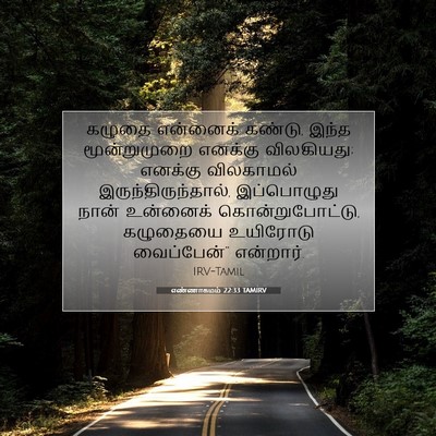 Picture 07 - எண்ணாகமம் 22:33 TAMIRV - கழுதை என்னைக் - Bible Verse Picture