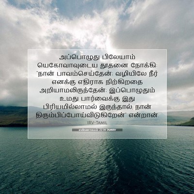 Picture 07 - எண்ணாகமம் 22:34 TAMIRV - அப்பொழுது - Bible Verse Picture