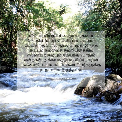 Picture 07 - எண்ணாகமம் 22:4 TAMIRV - மீதியானியர்களின் - Bible Verse Picture