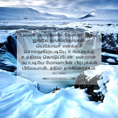 Picture 07 - எண்ணாகமம் 22:8 TAMIRV - அவன் அவர்களை - Bible Verse Picture
