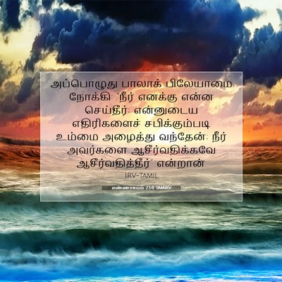 Picture 07 - எண்ணாகமம் 23:11 TAMIRV - அப்பொழுது பாலாக் - Bible Verse Picture