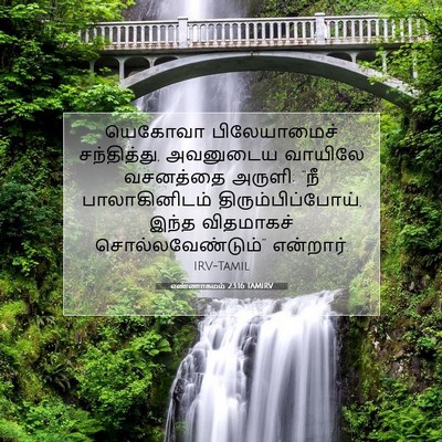 Picture 07 - எண்ணாகமம் 23:16 TAMIRV - யெகோவா பிலேயாமைச் - Bible Verse Picture