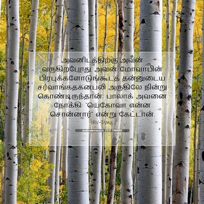 Picture 07 - எண்ணாகமம் 23:17 TAMIRV - அவனிடத்திற்கு - Bible Verse Picture
