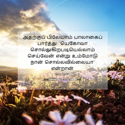 Picture 07 - எண்ணாகமம் 23:26 TAMIRV - அதற்குப் பிலேயாம் - Bible Verse Picture