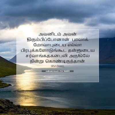Picture 07 - எண்ணாகமம் 23:6 TAMIRV - அவனிடம் அவன் - Bible Verse Picture
