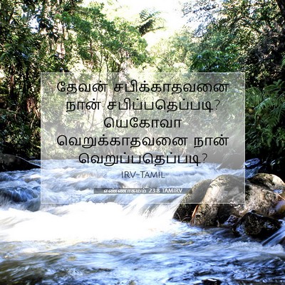 Picture 07 - எண்ணாகமம் 23:8 TAMIRV - தேவன் சபிக்காதவனை - Bible Verse Picture
