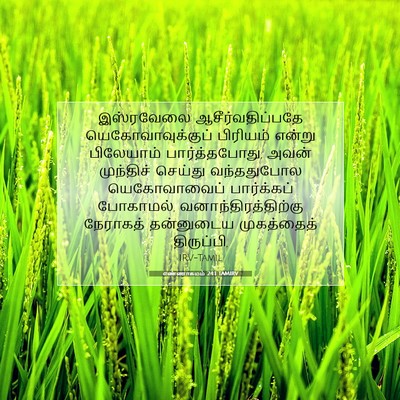 Picture 07 - எண்ணாகமம் 24:1 TAMIRV - இஸ்ரவேலை - Bible Verse Picture