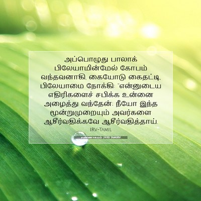Picture 07 - எண்ணாகமம் 24:10 TAMIRV - அப்பொழுது பாலாக் - Bible Verse Picture