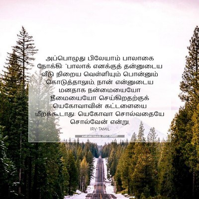 Picture 07 - எண்ணாகமம் 24:12 TAMIRV - அப்பொழுது - Bible Verse Picture