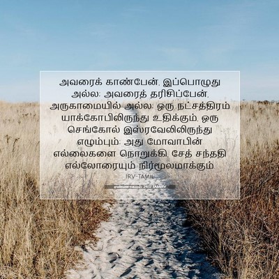 Picture 07 - எண்ணாகமம் 24:17 TAMIRV - அவரைக் காண்பேன், - Bible Verse Picture