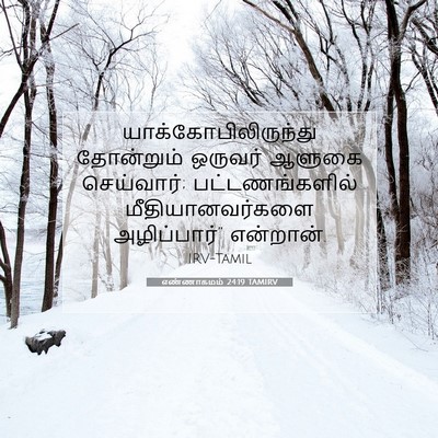 Picture 07 - எண்ணாகமம் 24:19 TAMIRV - யாக்கோபிலிருந்து - Bible Verse Picture