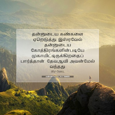 Picture 07 - எண்ணாகமம் 24:2 TAMIRV - தன்னுடைய கண்களை - Bible Verse Picture
