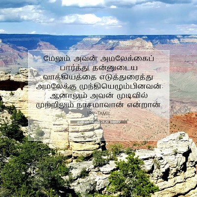 Picture 07 - எண்ணாகமம் 24:20 TAMIRV - மேலும், அவன் - Bible Verse Picture