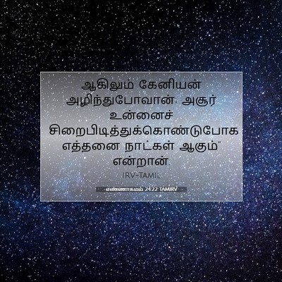 Picture 07 - எண்ணாகமம் 24:22 TAMIRV - ஆகிலும் கேனியன் - Bible Verse Picture