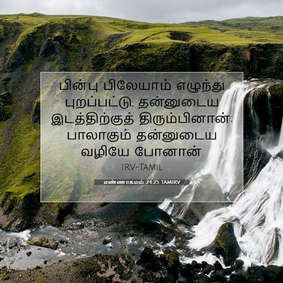 Picture 07 - எண்ணாகமம் 24:25 TAMIRV - பின்பு பிலேயாம் - Bible Verse Picture