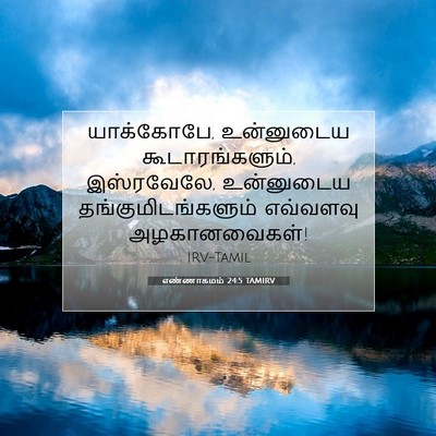 Picture 07 - எண்ணாகமம் 24:5 TAMIRV - யாக்கோபே, - Bible Verse Picture