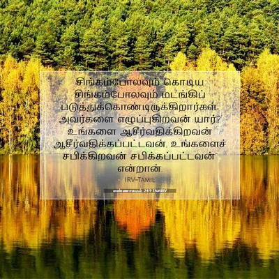 Picture 07 - எண்ணாகமம் 24:9 TAMIRV - சிங்கம்போலவும் - Bible Verse Picture