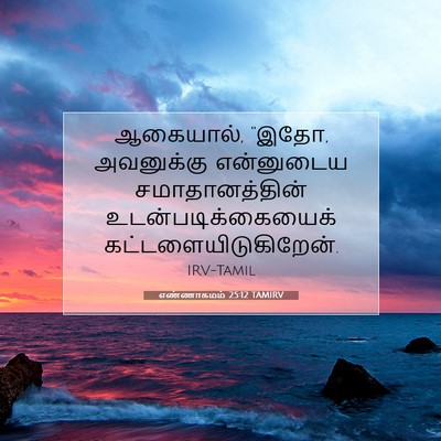 Picture 07 - எண்ணாகமம் 25:12 TAMIRV - ஆகையால், “இதோ, - Bible Verse Picture