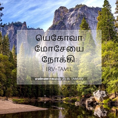 Picture 07 - எண்ணாகமம் 25:16 TAMIRV - யெகோவா மோசேயை - Bible Verse Picture
