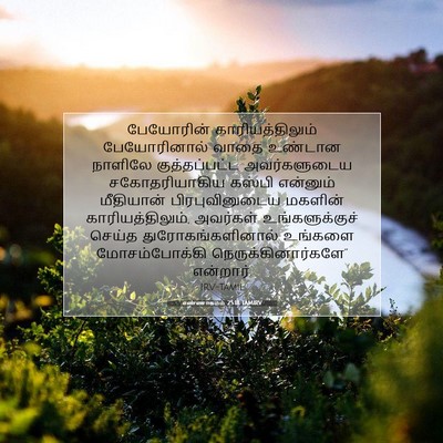 Picture 07 - எண்ணாகமம் 25:18 TAMIRV - பேயோரின் - Bible Verse Picture