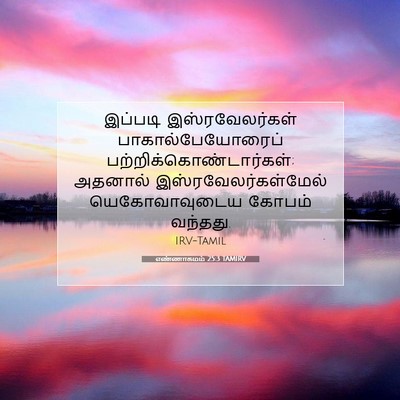 Picture 07 - எண்ணாகமம் 25:3 TAMIRV - இப்படி - Bible Verse Picture