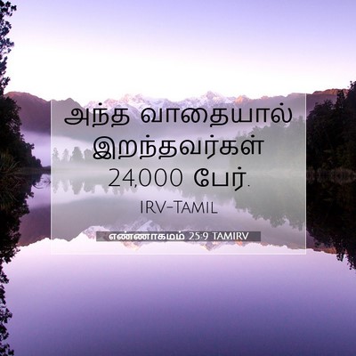 Picture 07 - எண்ணாகமம் 25:9 TAMIRV - அந்த வாதையால் - Bible Verse Picture