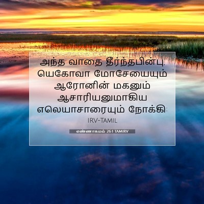 Picture 07 - எண்ணாகமம் 26:1 TAMIRV - அந்த வாதை - Bible Verse Picture