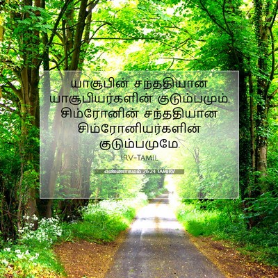Picture 07 - எண்ணாகமம் 26:24 TAMIRV - யாசூபின் - Bible Verse Picture