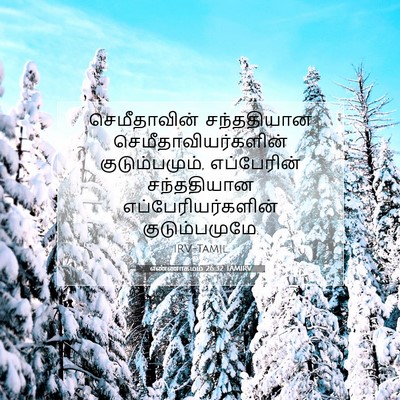 Picture 07 - எண்ணாகமம் 26:32 TAMIRV - செமீதாவின் - Bible Verse Picture