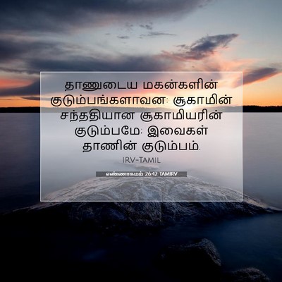 Picture 07 - எண்ணாகமம் 26:42 TAMIRV - தாணுடைய மகன்களின் - Bible Verse Picture