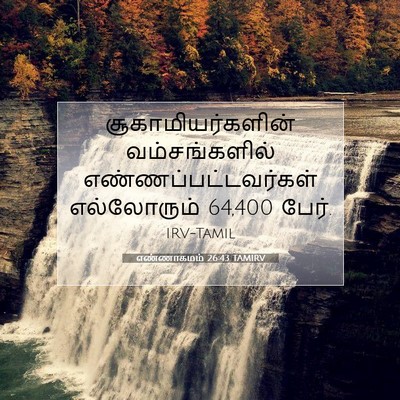 Picture 07 - எண்ணாகமம் 26:43 TAMIRV - சூகாமியர்களின் - Bible Verse Picture