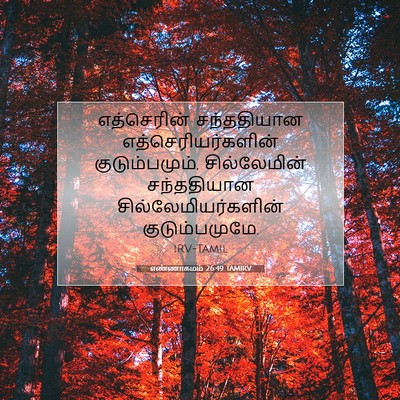 Picture 07 - எண்ணாகமம் 26:49 TAMIRV - எத்செரின் - Bible Verse Picture