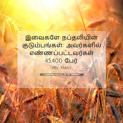 Picture 07 - எண்ணாகமம் 26:50 TAMIRV - இவைகளே நப்தலியின் - Bible Verse Picture