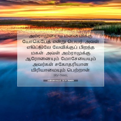 Picture 07 - எண்ணாகமம் 26:59 TAMIRV - அம்ராமுடைய - Bible Verse Picture