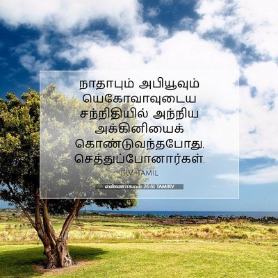 Picture 07 - எண்ணாகமம் 26:61 TAMIRV - நாதாபும் - Bible Verse Picture