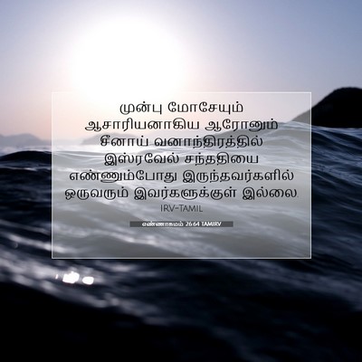 Picture 07 - எண்ணாகமம் 26:64 TAMIRV - முன்பு மோசேயும் - Bible Verse Picture
